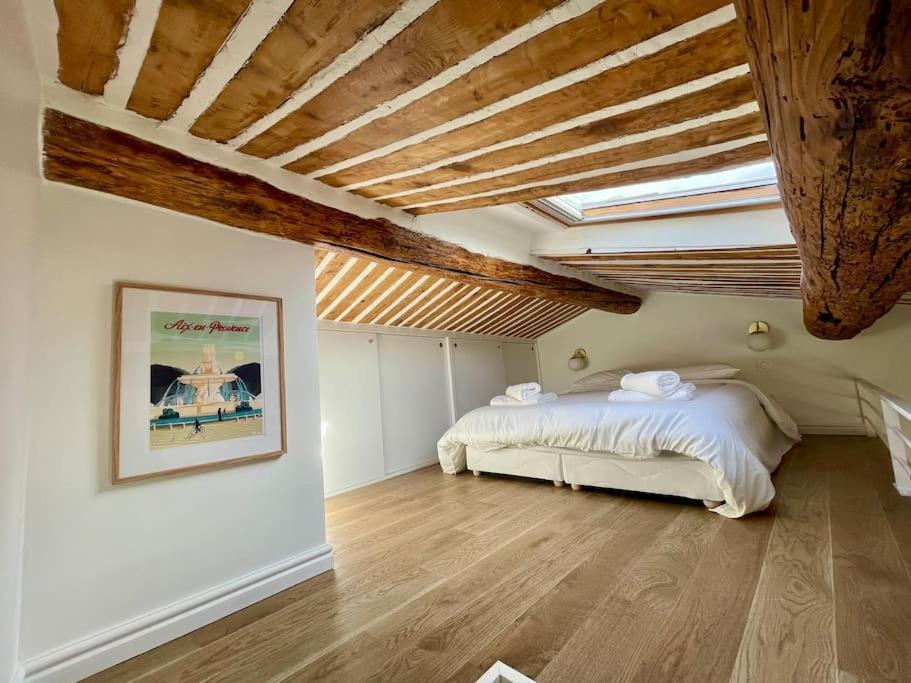 Apartment Magnifique + Terrasse Au Coeur D'aix